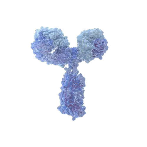 Human Tau (phospho T217) Antibody Pair - BSA and Azide free